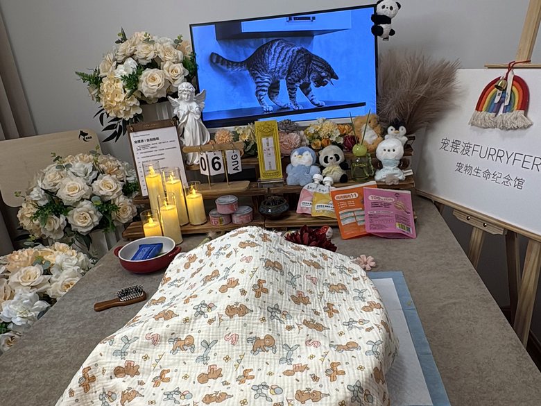 宠物纪念相册与追思布置