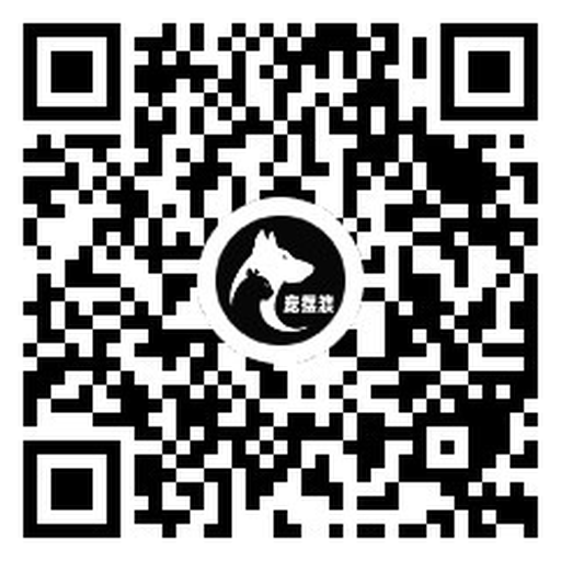 微信扫码使用宠摆渡小程序