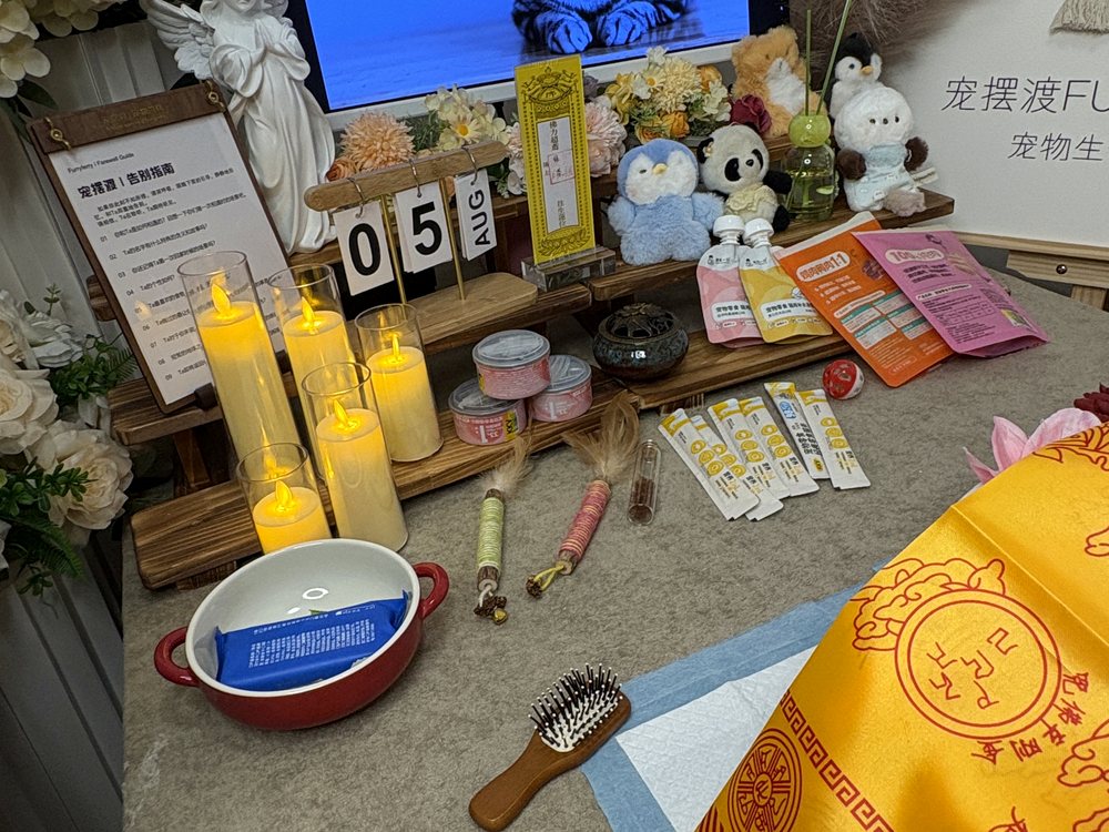 宠物告别仪式现场布置